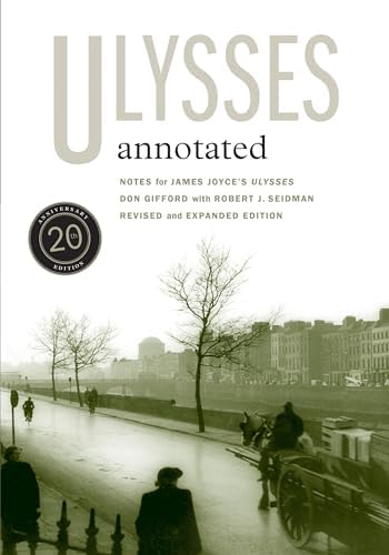 Amazon.com: The Joyce of Everyday Life (Contemporary Irish Writers